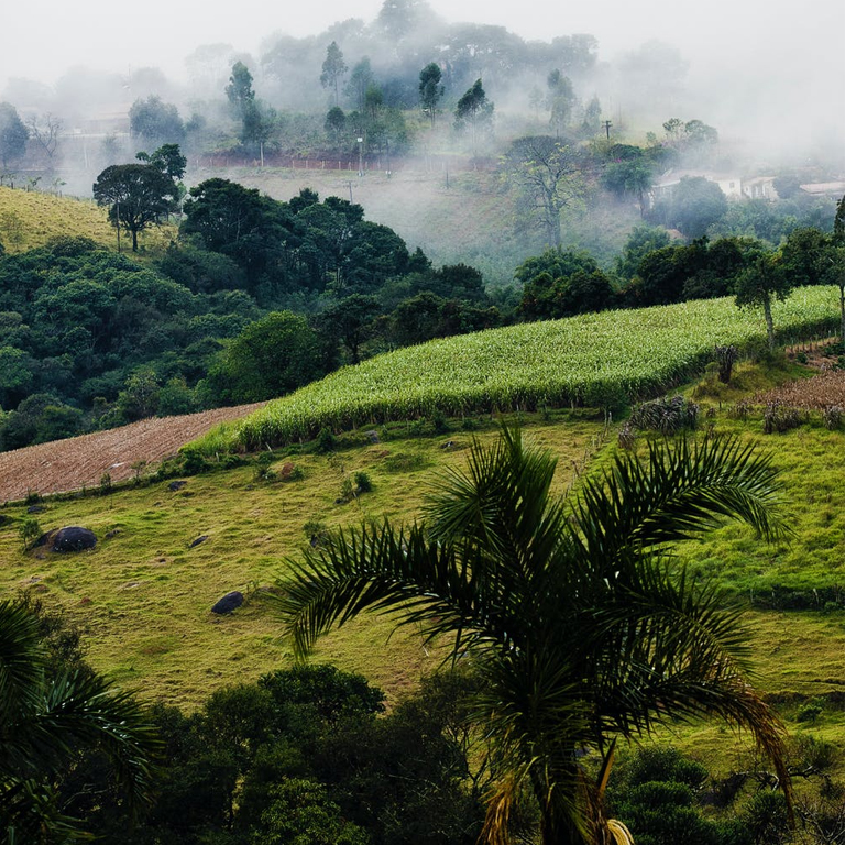 DEMOLIDORA PARCEIRA DO MEIO AMBIENTE